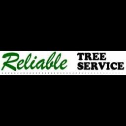 Reliable Tree Service offers expert tree trimming and hauling with over 20 years of experience in Yorba Linda, CA.