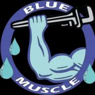 Blue Muscle Plumbing offers expert plumbing services in Lancaster, CA, focusing on quality, transparency, and customer satisfaction.