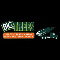 Big Trees Inc. offers a vast selection of mature trees and expert transplanting services in the Pacific Northwest.