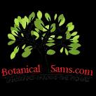 Botanical Sam's LLC offers expert landscaping services in Seattle, enhancing spaces with innovative botanical designs.