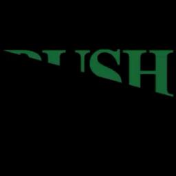 Bush Turf LLC specializes in precision athletic field construction and maintenance using advanced technology and agronomic expertise.