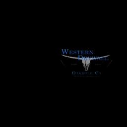 Western Drywall, Inc. specializes in drywall and framing, serving Northern California since 1971 with quality and financial stability.