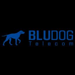 Bludog Telecom Inc. offers innovative VoIP solutions and telecommunication services tailored for small businesses.