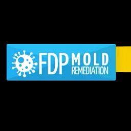 FDP Mold Remediation specializes in professional mold removal, ensuring health and safety through meticulous processes.
