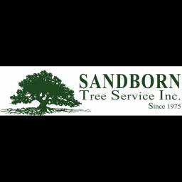 Expert tree care and maintenance services since 1975 in Sebastopol, CA, prioritizing eco-friendly practices and customer satisfaction.