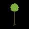 On Call Tree Service provides expert tree care and emergency services in Chattanooga with a focus on safety and integrity.