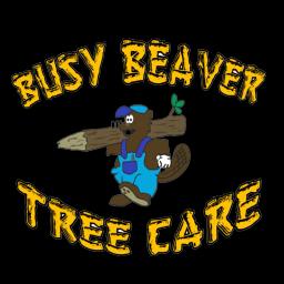 Busy Beaver Tree Care offers expert tree services in Roscoe, IL, ensuring safety and quality with a family-owned approach.
