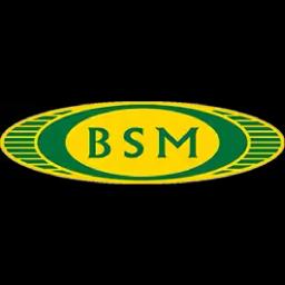 BSM Landscaping offers quality landscaping and tree services in Mechanicsburg, PA, since 2009.