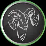 RAM Pest Management offers expert pest control services in Yuma, AZ with a focus on community and customer satisfaction.
