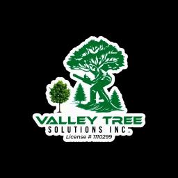 Expert tree care services in Sacramento with over 13 years of experience.