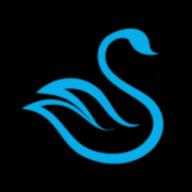 Swanson Construction & Development Inc. delivers high-quality home remodeling and construction services across North Carolina.