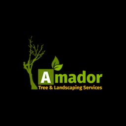 Amador Tree & Landscaping Services offers expert tree and landscaping care with 15 years of experience in residential and commercial projects.