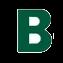 Bowman is a multi-disciplinary consulting firm specializing in infrastructure, energy, and environmental management solutions.