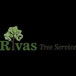 Rivas Tree Service provides expert tree trimming and removal services in North Shore, IL, ensuring tree health and safety.
