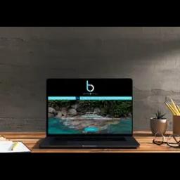 PNW Web Designers creates stunning websites for small businesses in the Pacific Northwest, enhancing their digital presence.