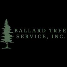Expert tree care in Seattle with certified arborists offering removal, pruning, and emergency services.
