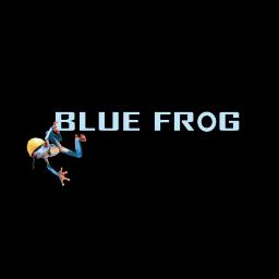 Blue Frog LLC specializes in design-build services for commercial construction, focusing on medical and retail projects since 2004.