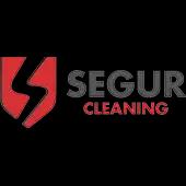 Segur Cleaning offers expert cleaning services in Texas with over 30 years of reliable performance.