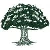 Professional and insured tree care services in the DFW area.