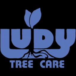 Ludy Tree Care offers expert tree services in North Carolina, focusing on safety, quality, and customer satisfaction since 1976.