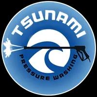 Tsunami Pressure Washing offers expert pressure washing and detailing services in Alabama since 2012, ensuring top-quality results.