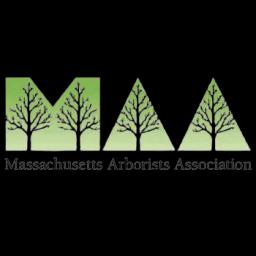 Marquis Tree Service provides reliable and professional tree care services in the Boston area since 1990.