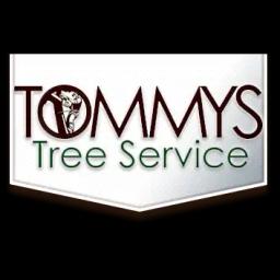 Tommy's Tree Service offers expert tree care and removal services in Austin, TX, with over 30 years of experience.