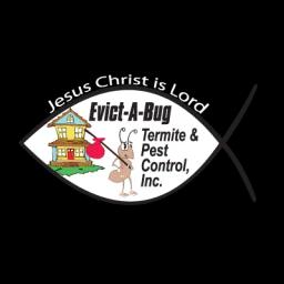 Family-owned pest control company serving South Florida, offering termite treatment and pest prevention services.