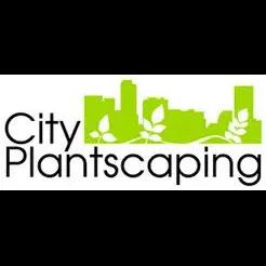 Denver's premier indoor plant service offering design, installation, and maintenance for vibrant work environments.
