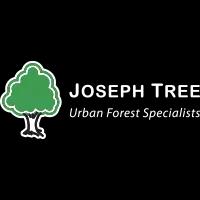 Joseph Tree LLC offers expert tree services in Columbus, OH, focusing on professional care and maintenance of urban forestry.