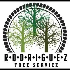 Rodriguez Tree Service offers expert tree care and landscaping in San Carlos, CA, with a focus on quality and customer satisfaction.