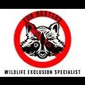 Fur Busters Wildlife offers humane animal removal services in Northern Illinois, specializing in wildlife exclusion and repair.