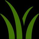 Trusted lawn care experts in the Twin Cities, offering tailored solutions since 1999.