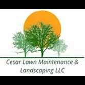 Expert lawn care and landscaping services in Bremerton, ensuring vibrant and healthy outdoor spaces for residential and commercial clients.