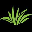 Atlanta's Peachtree Plants specializes in custom interiorscapes and award-winning holiday decor since 1989.
