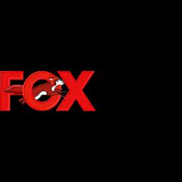 Fox Fences: Quality fence installation in Niagara Falls since 1975, specializing in custom designs with expert service.