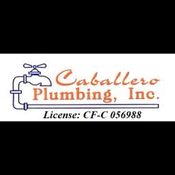Family-owned plumbing firm since 1996, excelling in large-scale commercial and municipal projects with a focus on quality.