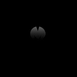 Humane bat removal and proofing services in Wisconsin, guaranteed to match or beat competitor estimates for eco-friendly solutions.
