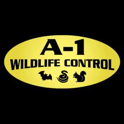 A-1 Wildlife Control provides expert animal removal and prevention services in the Charlotte, NC area since 1994.