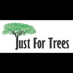Expert tree services and landscaping in Bolingbrook, IL, dedicated to community care for over 17 years.