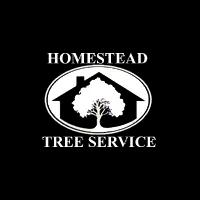 Professional tree services in San Diego since 1978, specializing in pruning, removal, and arbor consulting.