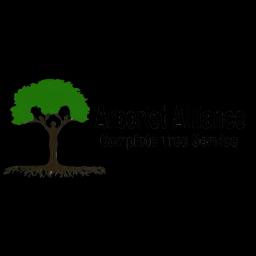 Expert tree care services in the Denver area, committed to tree health and longevity since 2007.