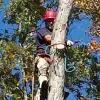 Grider Tree Service offers professional tree care, including trimming and removal, with a focus on cleanliness and customer satisfaction.