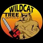 Wildcat Tree Service offers expert tree care in Tucson, focusing on customer satisfaction and safety with 24/7 service.