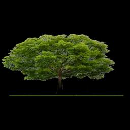 Hoey Landscape specializes in landscape design and installation services.