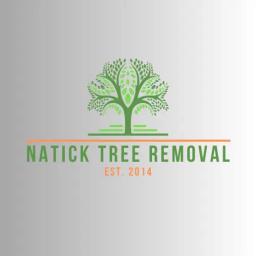 Expert tree care services in Natick, MA, including removal, trimming, and stump grinding, ensuring safety and aesthetics.