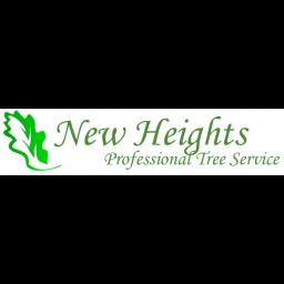 Proactive tree care services in San Antonio, specializing in trimming, removal, transplantation, and health maintenance.