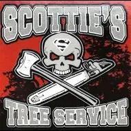Scottie's Tree Service offers expert tree and land clearing services in Staten Island, NY since 2007.