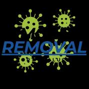 Family-operated mold remediation specialists in Port St. Lucie, ensuring safe and healthy properties across Southeast Florida.