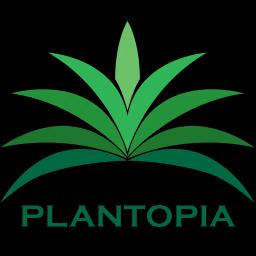 Plantopia Inc. specializes in indoor and outdoor plant services to enhance work and living spaces throughout California.